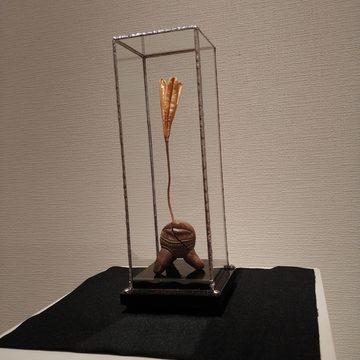 お客様の写真