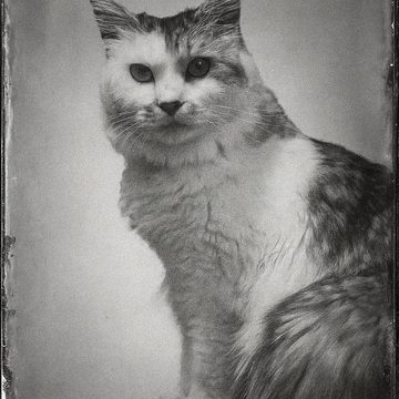 お客様の写真